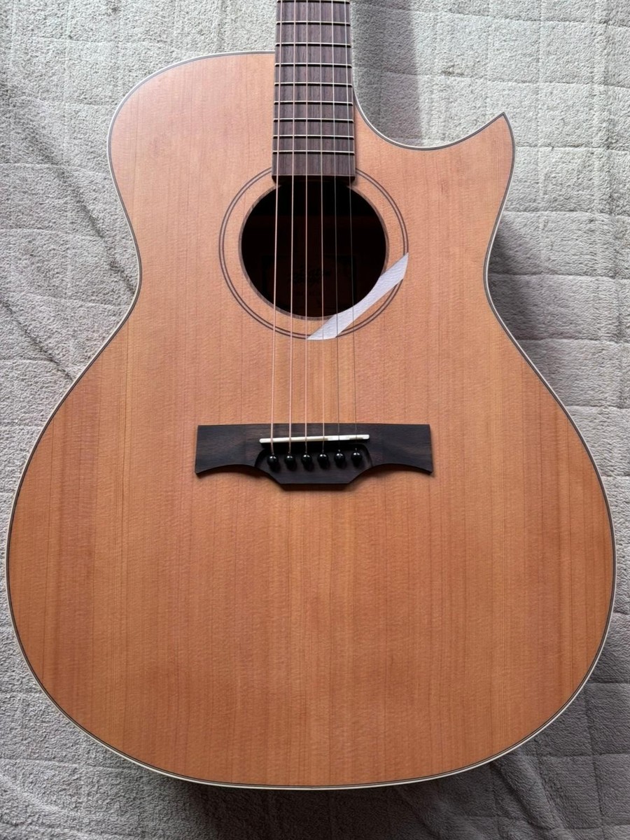 Baton Rouge X6C/AC-AF Acoustic Guitar Auditorium Andrew Foy