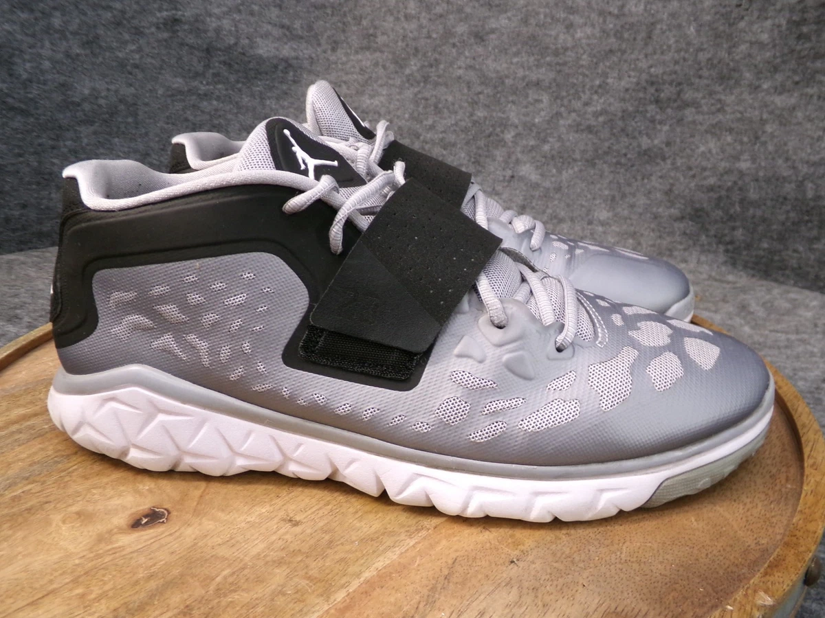 Jordan Flight Flex Trainer 2 Wolf Grey for Sale | Authenticity