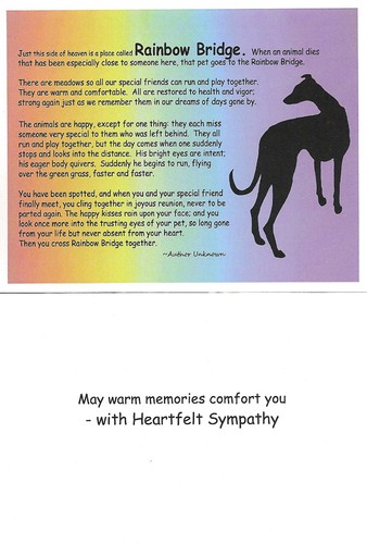 Set of 4 Assorted Greyhound Dog Sympathy Cards, with Envelopes - Bild 4 von 5