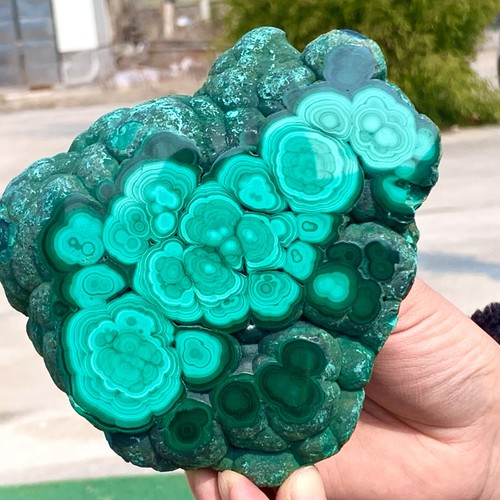 2.64LB Natural glossy Malachite transparent cluster rough mineral sample - Picture 15 of 23