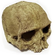 Skull Reptile Hide Reptile Hides and Caves Aquarium Tank Accessories Decorati...