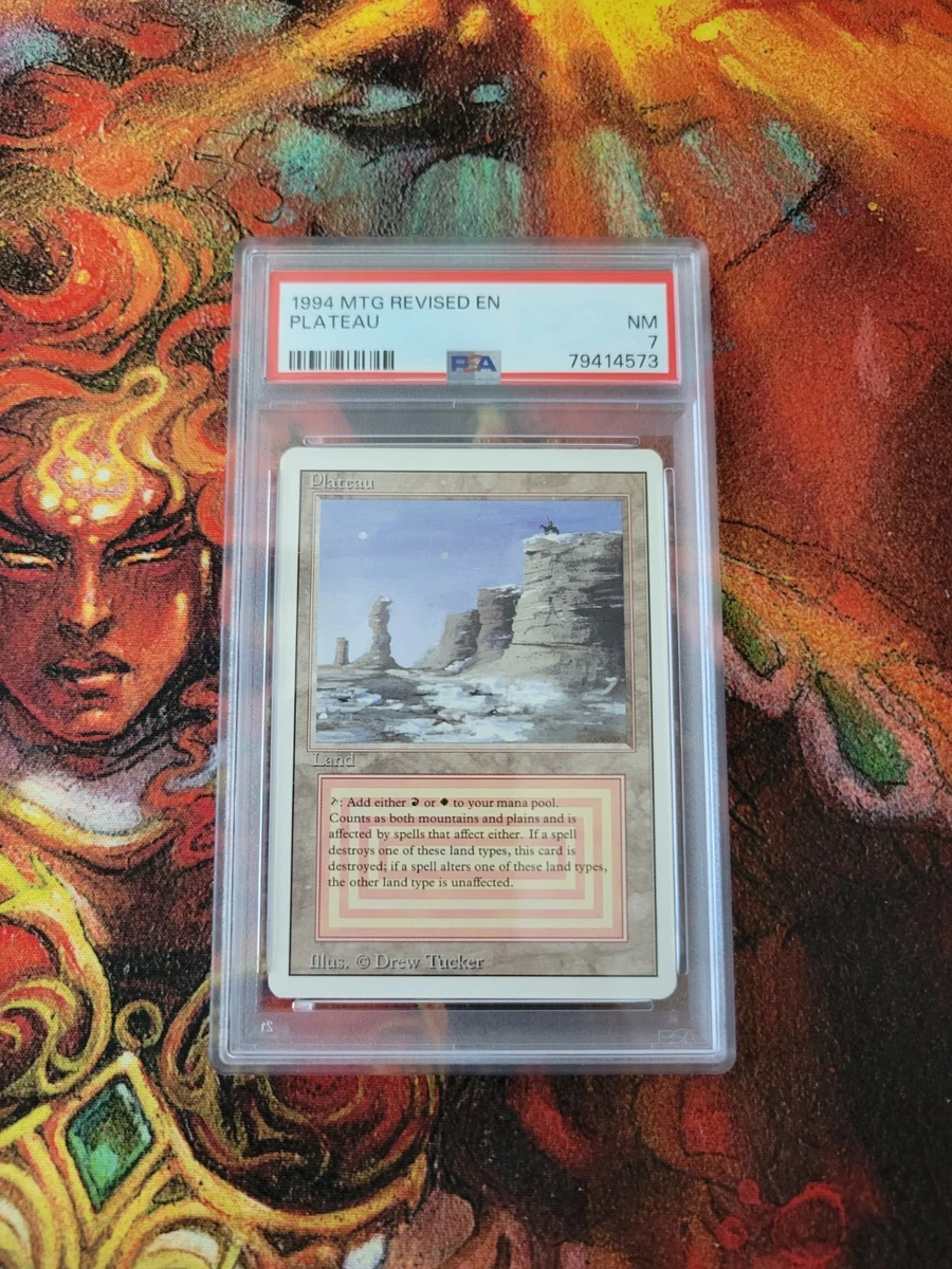 25+ Mtg Plateau for sale | Updated Oct 2026