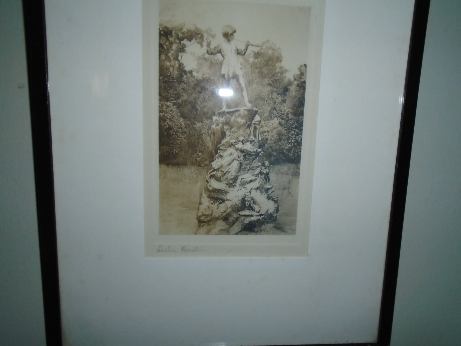 Picture 5 of 11