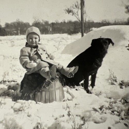 Vtg 1950s Boy w Black DOG Sitting in the SNOW Winter Photo Snapshot - Picture 3 of 12