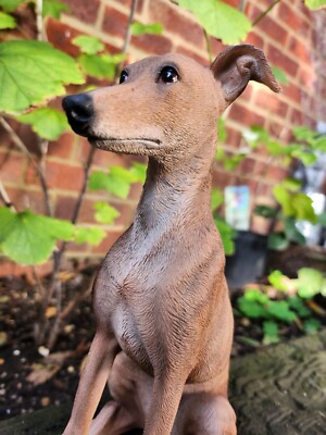 Vivid Arts Whippet Dog - Small Garden Ornament 21cm - Indoor or