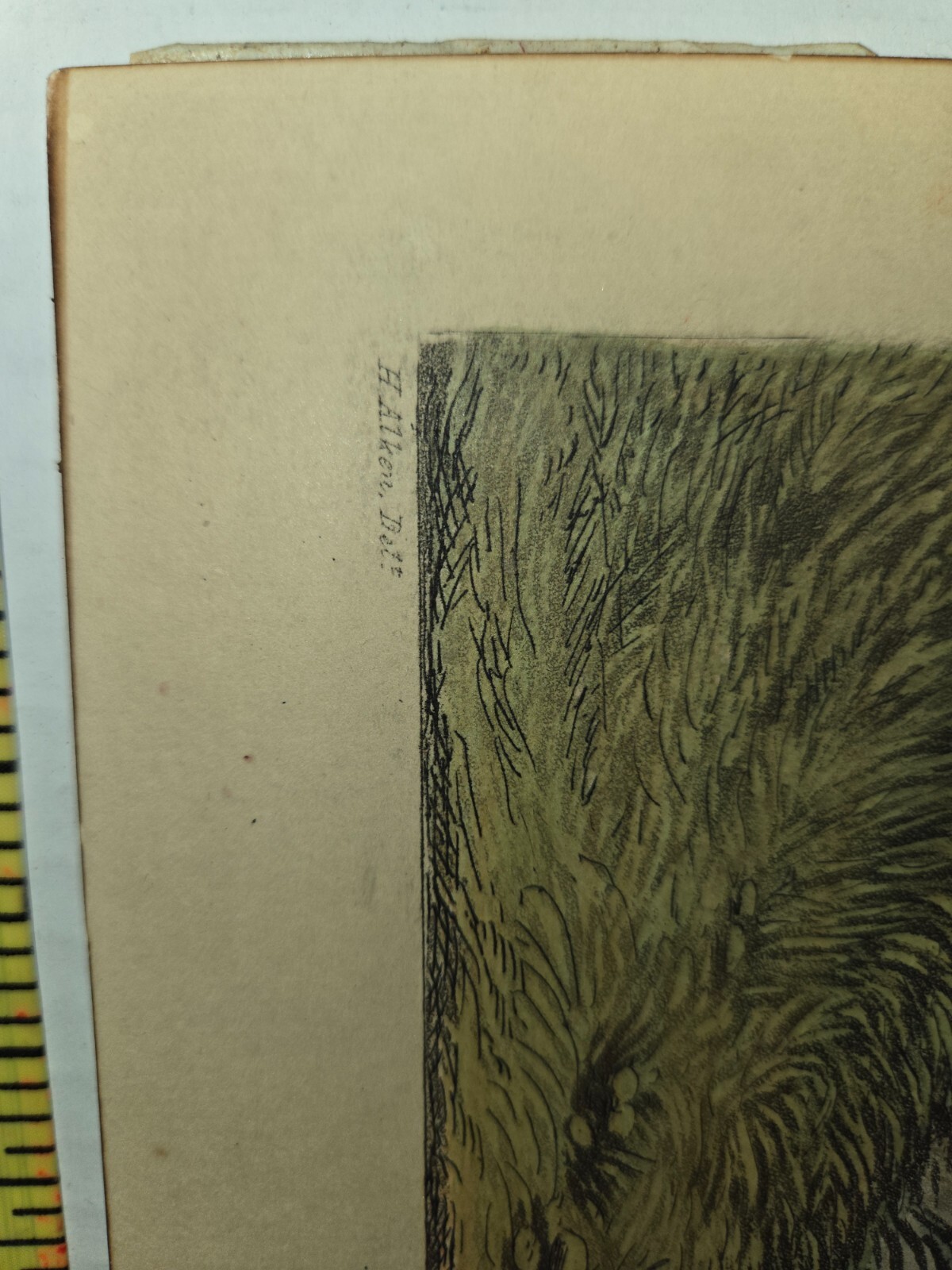 Picture 5 of 9