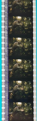 Jurassic Park 3 2001 Very Rare Unmounted 35mm Film Cells - Picture 19 of 51