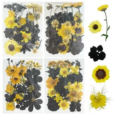 Dried Flowers for Resin Molds 4 Pack 85 Pcs Black Yellow Pressed Leaves