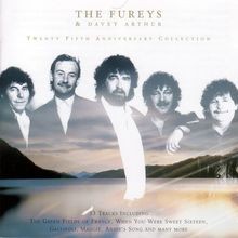 25th Anniversary Collection  von Fureys  Davey Arthur | CD | Zustand sehr gut