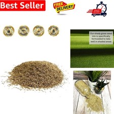 Shady Area Lawn 100g Seed Grass Shade Covers 2 Square metres SLMH 79.90 per kilo