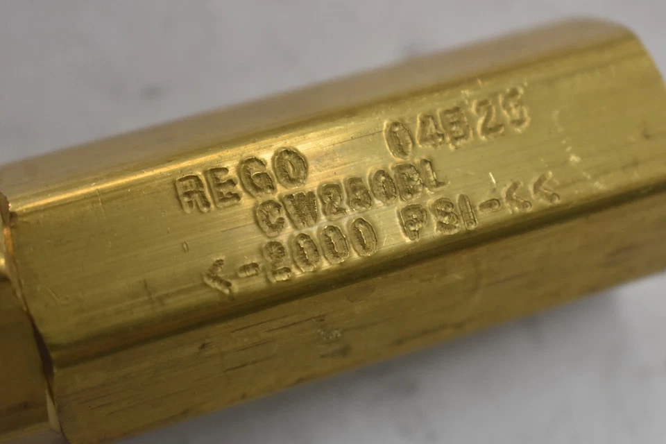 Válvula de retención de latón REGO 1/4" con juntas tóricas Viton CW250BL 04B25 2000 PSI genuina OEM Foto 2 de 4