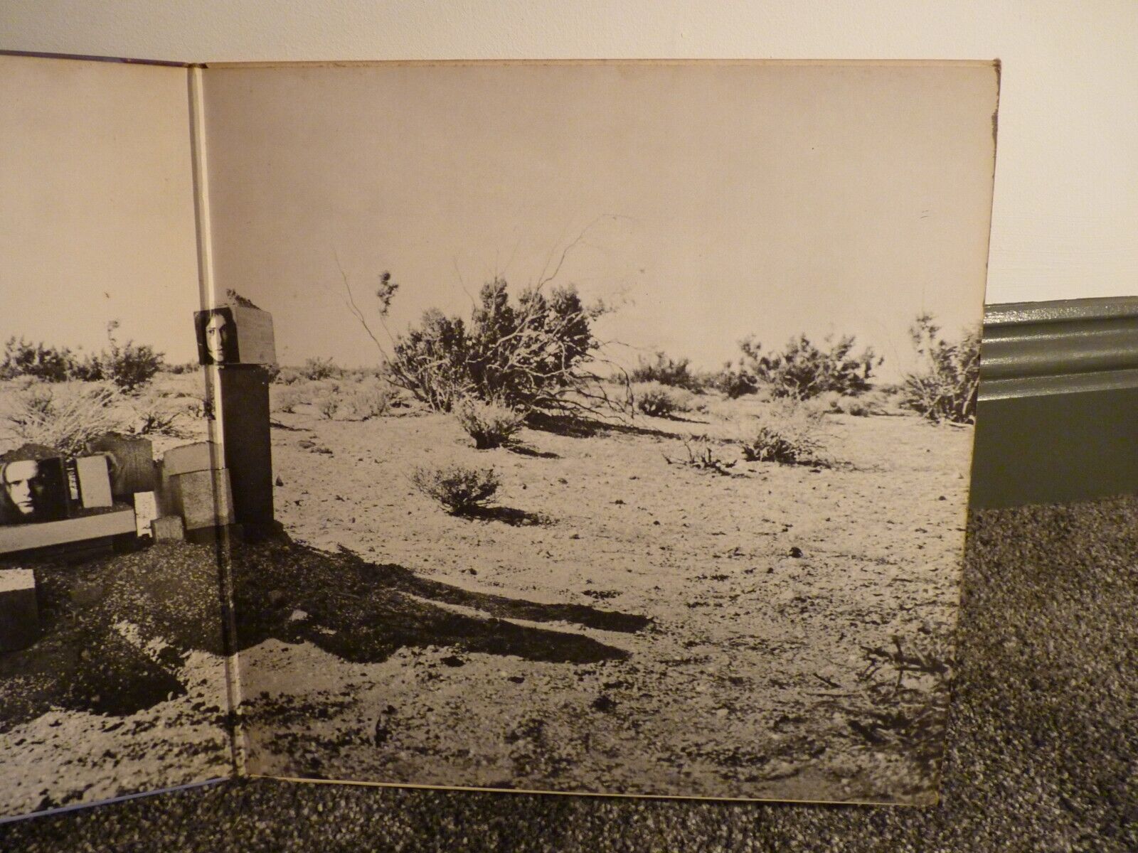 Picture 8 of 9
