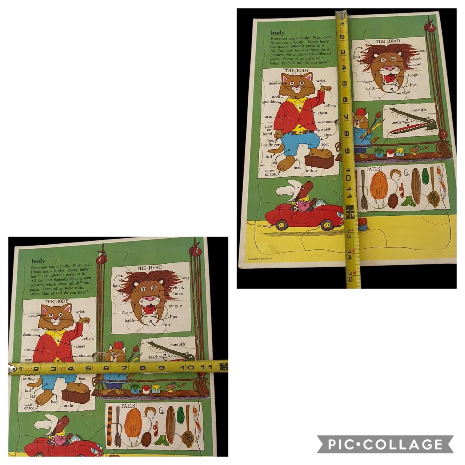 Picture 3 of 21