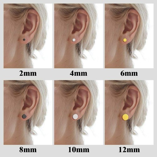 Surgical Stainless Steel Stud Earrings Men Women Faux Gauges Ear Tunnel Ear Stud - Afbeelding 3 van 15