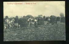  Somerset   Social History  Turfing with Workers building ricks of turf 