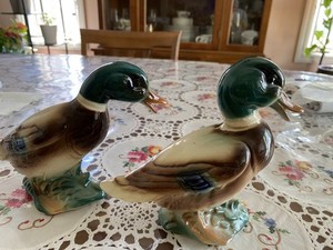 Royal Copal Malard Ducks