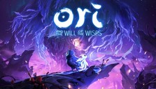 Ori and the Will of the Wisps PC Steam Key WW