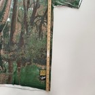 Foto 7 di 12