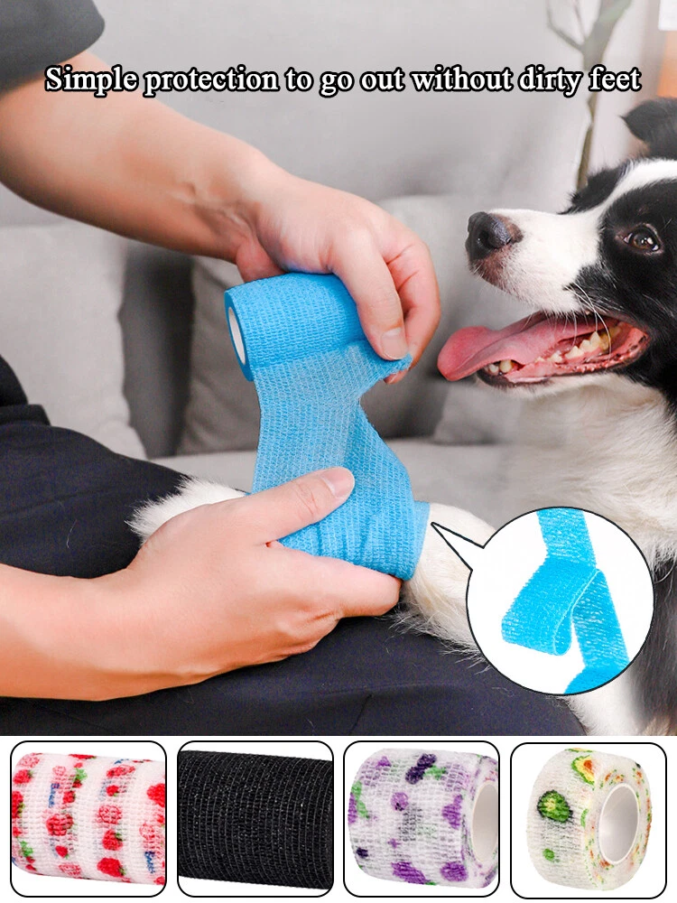 Best bandages for dogs cheap