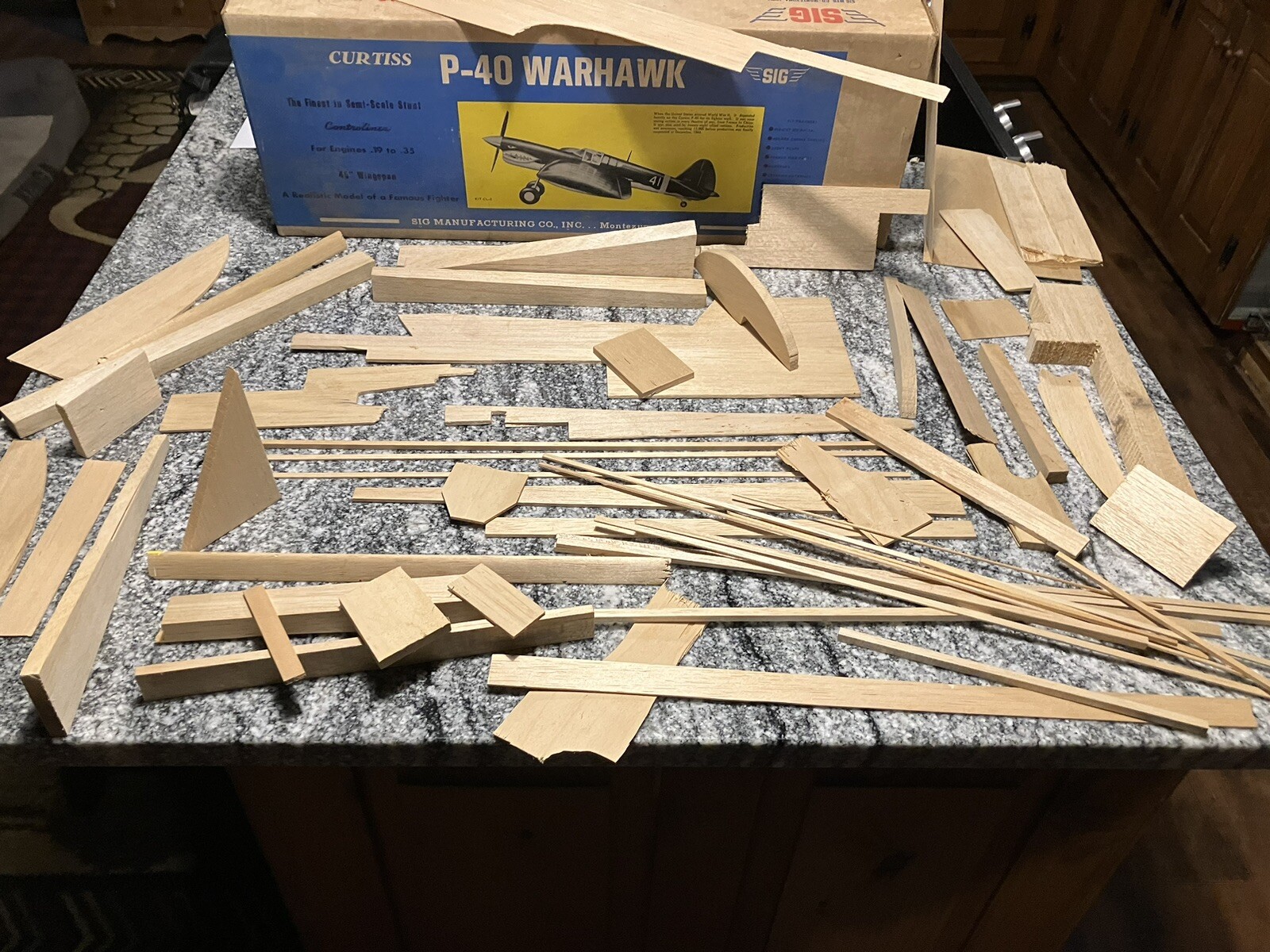 Vintage Model Airplane Control Line Flying Curtiss Sig p40 Warhawk CL2