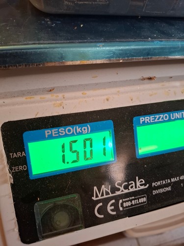gold recovery - Kg 1,500 - IC Chips - GOLD SCRAP - Photo 3/3