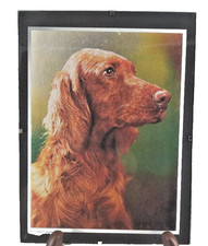 Vintage Irish Setter Dog Hologram 9.5" T X 7" W Rare Picture