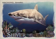 2021 Topps Allen and Ginter Deep Sea Shiver #DSS11 Mackerel Shark - NM-MT