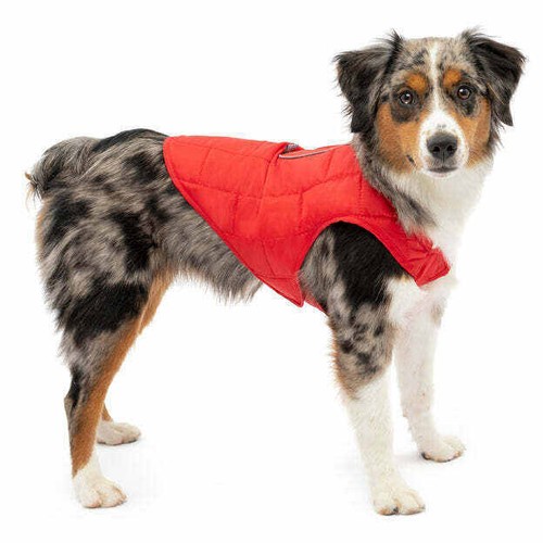 Kurgo Loft Jacket for Dogs Coastal Chili Red/Charcoal Small Winter Coat K01857 - Picture 2 of 3