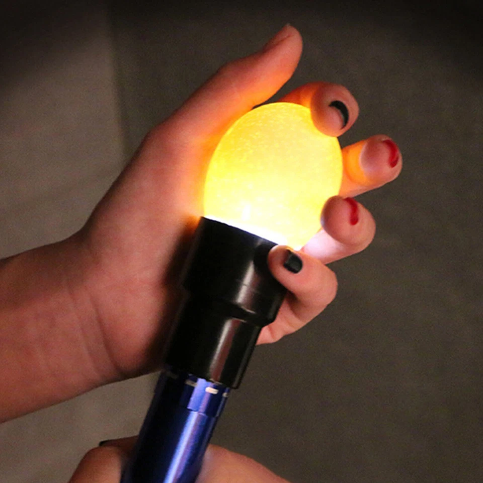 LED Schierlampe Prüflampe Bruteier Eierdurchleuchter Eier Inkubator Brutmaschine - Bild 1 von 4