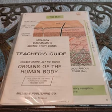 Vintage 1970s Science Series Organs Of The Human Body Milliken Publishing Co NEW