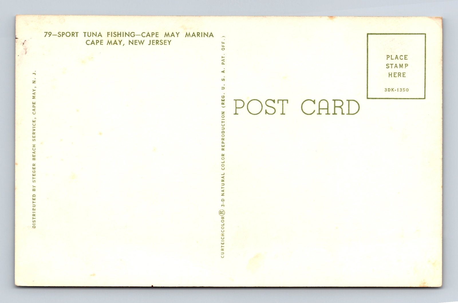 Cape May NJNew Jersey, Sport Tuna Fishing, Cape May Marina, Vintage