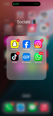 Apple iPhone 16 Pro Max with TikTok installed