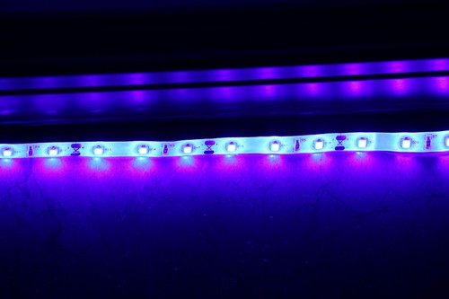 Aquarium Reef Aquarium Growing Light 440nm Actinic Blue-purple LED Strip - Picture 2 of 10