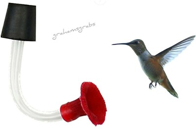 STOPPER FOR HUMMINGBIRD FEEDER SE619 MAKE YOUR OWN NECTAR FEEDER HUMMERS LOVE IT