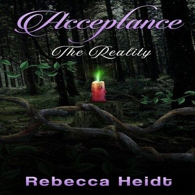 Acceptance The Reality Rebecca Heidt Paperback Rebecca Heidt