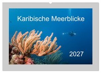 Karibische Meerblicke (Wandkalender 2027 DIN A2 Quer), Calvendo Monatskalender