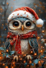 OWL SANTA HAT ART PRINT, Bird Christmas Home Decor, Winter Holiday Poster E542