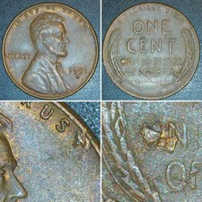  on The Hot Collector