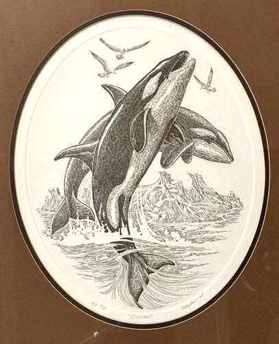 Artist Proof 1978 Etching signed #4/18 JD Mayhew "ORCAS" seagulls matt & frame - Picture 1 of 7