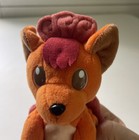 Foto 5 di 7