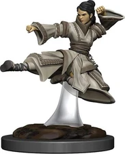 Female Human Monk Premium D&D Miniature Dungeons Dragons brawler fighter warrior