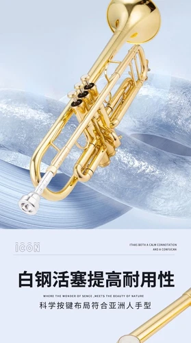 Tromba Yamaha YTR-2335/4335/8335GS con custodia rigida bellissima - Foto 21 di 35