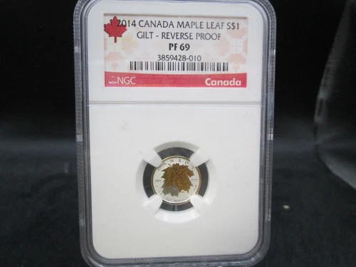 2014 Canada Maple Leaf .999 Fine Silver 1/20oz. Gilt Reverse Proof $1 NGC PF69