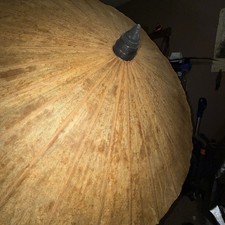 Gorgeous Vintage Japanese Bamboo Paper Large Parasol Umbrella 35" Collectible