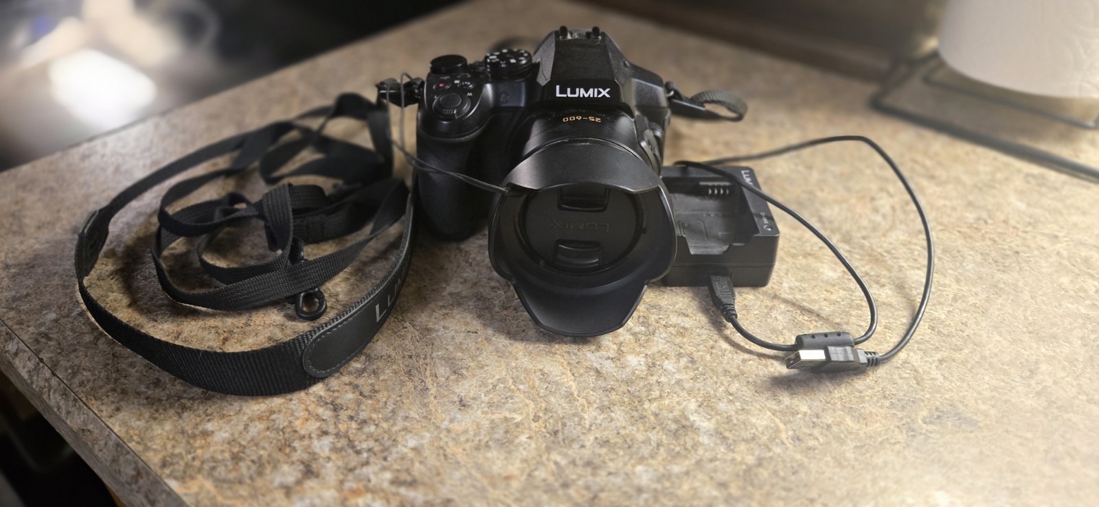 ​Panasonic Lumix FZ300 4K Digital Camera