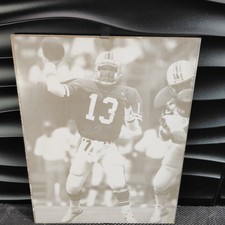 Sepia Tone Dan Marino Miami Dolphins Photo 11x14 NFL Sports Poster  Collectible