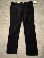 Anthropologie Pilcro and the Letter Press Ladies Velour Pants Sz 32 Casual