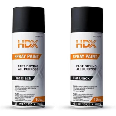 10 Oz. All Purpose Flat Black Spray Paint (2pack)