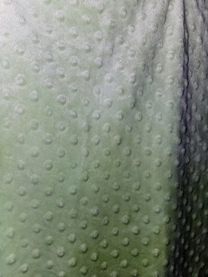 Just one Year Carters Soft Minky Dot Blanket Light Solid Green Satin Trim Back - Image 4 of 4
