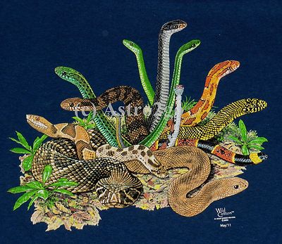 SNAKES--Copperhead Diamondback Herpetology Reptiles Science Nature Kids T shirt